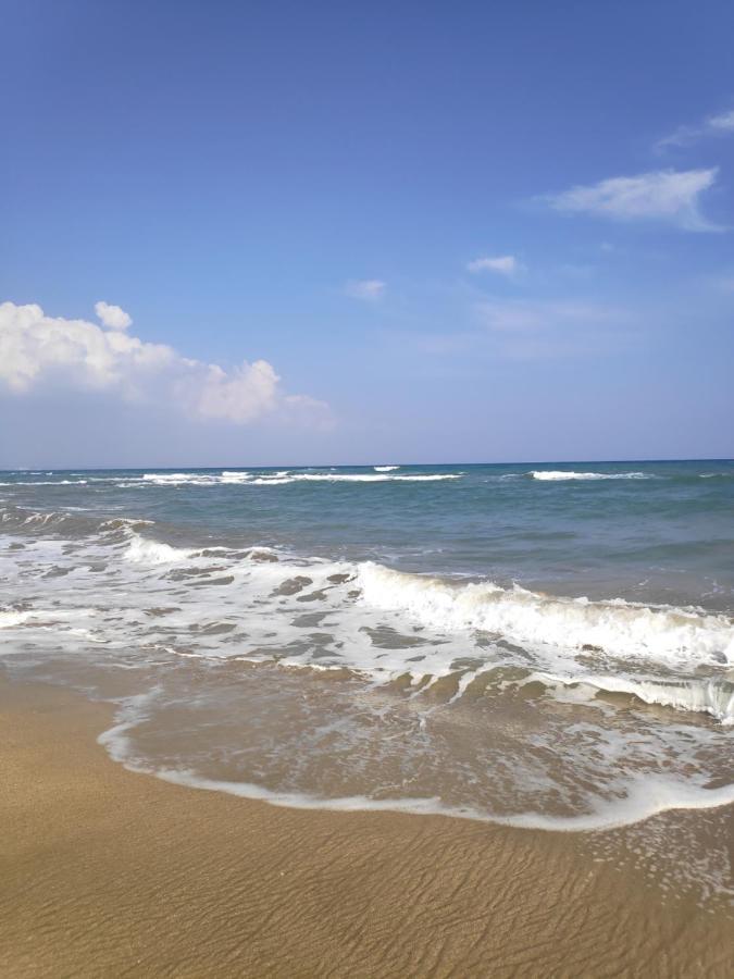 Relax&Dream Apartment Long Beach Agios Georgios  外观 照片